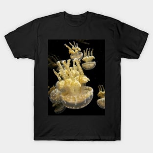 Jelly fish at play T-Shirt